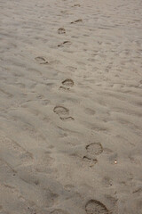 footprints in the beach sand