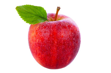 Closeup of a gala apple with leaf on stem and water droplets