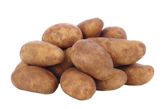 Russet Potatoes on White