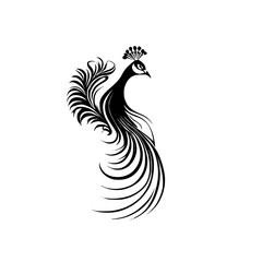 Elegant Peacock Feather Design: Black and White Bird Silhouette, Nature-Inspired Vector Graphic, Abstract Art Illustration