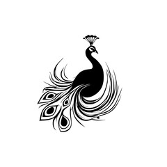 Fototapeta premium Elegant Peacock Silhouette: A Black and White Bird Design. Perfect for nature lovers and art enthusiasts. This stylish illustration features intricate details and a sophisticated aesthetic.