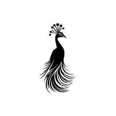 Elegant Peacock Silhouette: A Stunning Black and White Bird Design