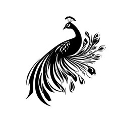 Obraz premium Elegant Peacock Silhouette: Black and White Bird Feather Design. Perfect for nature lovers and art enthusiasts. A stunning graphic for home decor or fashion.