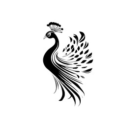 Fototapeta premium Elegant Peacock Silhouette: A Black and White Bird Illustration