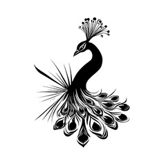 Elegant Peacock Silhouette: Black and White Bird Illustration