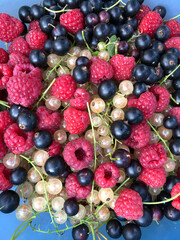 Close-up of fresh raspberries, blackcurrants, and white currants, showcasing vibrant colors, ideal for food or nature themes, concept of freshness, culinary art, healthy living