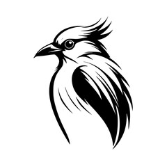 Fototapeta premium Elegant Black and White Bird Illustration: A Stylish Vector Graphic Design