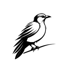 Majestic Bird: Black and White Bird Illustration, Nature Wildlife Graphic Design