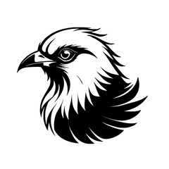 Majestic Eagle Head: A Black and White Vector Illustration of a Bird of Prey. Perfect for logos, emblems, and wildlife designs.