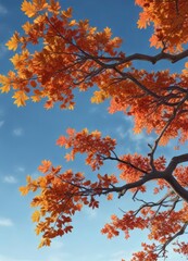 A lone oak branch heavy with vibrant orange red yellow leaves against blue sky,  trees,  seasonal change,  nature