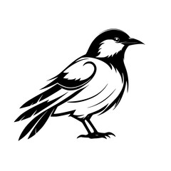 Elegant Black and White Bird Vector Art: A Stylish Minimalist Bird Illustration
