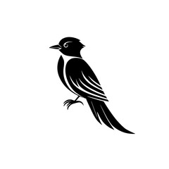 Fototapeta premium Elegant Blackbird Silhouette: Bird Vector Graphic, Wildlife Icon