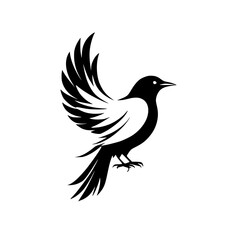 Majestic Bird in Flight: Black and White Avian Silhouette, Elegant Wings, Wildlife Vector Graphic