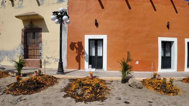 A row of potted plants are lined up on the sidewalk in front of a building
