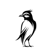 Elegant Black and White Bird Vector Illustration: A Stylish Avian Silhouette Graphic Design