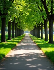 Obraz premium Serene park path lined with rich green trees. Soft shadows from trees enhance sunny spring day. Peaceful scene perfect for relaxation leisure. Public park offers nature beauty. Ideal for calm walks