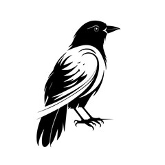 Obraz premium Majestic Crow: A Black and White Bird Silhouette Vector Graphic