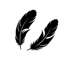 Obraz premium Two Black Feathers on White Background: Simple, Elegant Vector Graphic Design