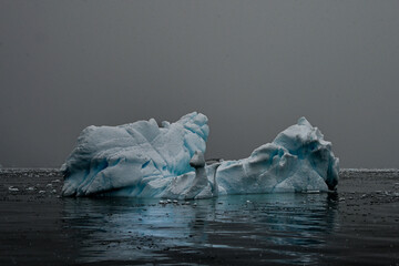 Blue iceberg sprinkle with snow melting into the shape of a cat, Grey sky in Antarctica © Sar__Eliz