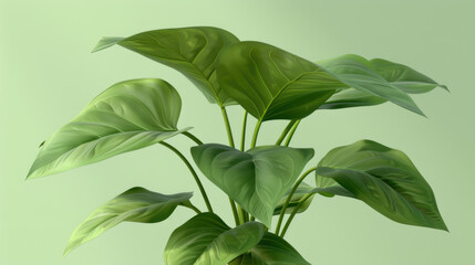 Obraz premium vibrant green plant with large, glossy leaves against soft green background, creating fresh and lively atmosphere
