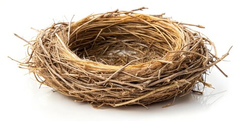 Bird Nest on White Background