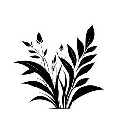 Fototapeta premium Black and White Floral Silhouette: Elegant Botanical Illustration. Perfect for minimalist designs, nature-themed projects, or adding a touch of sophisticated style.