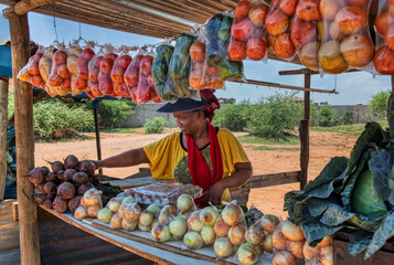 African woman selling vegetables from a wooden shack in Southern Africa, on the side of the road,...