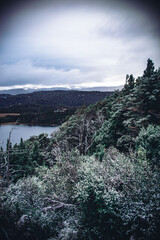 Paisaje de bariloche