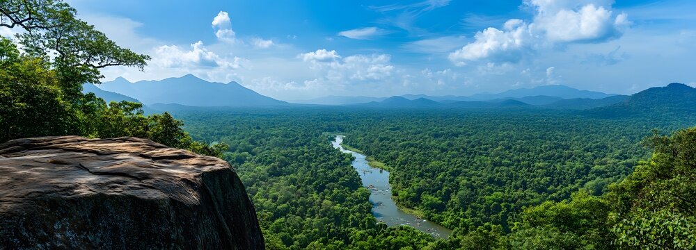 A podium on the edge of a high cliff, overlooking a vast jungle with rivers flowing through the trees