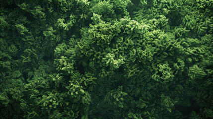 Fototapeta premium Lush green moss covering surface, creating vibrant natural texture. This dense foliage evokes sense of tranquility and connection to nature
