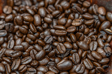 Coffee Beans, Tropical Farms Macadamia Nuts, Honolulu Oahu Hawaii.  Coffea arabica / Arabica coffee, is a species of flowering plant in the coffee and madder family Rubiaceae.