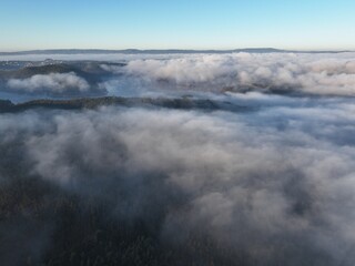 Fog Envelops a Quiet Lake Beneath Blue Skies in Coimbra