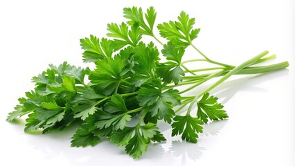 Fresh Parsley Sprig