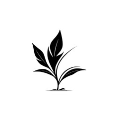 Elegant Plant Silhouette: Minimalist Botanical Vector Graphic