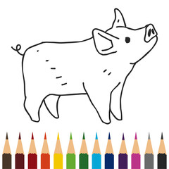 pig coloring book illustration design