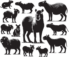 Black Color Capybara Silhouette Vector Illustration design, Solid White Background