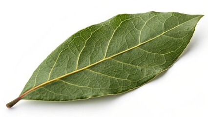 Obraz premium Single Bay Leaf on White Background