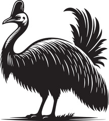 Black Color Cassowary Silhouette Vector Illustration design, Solid White Background