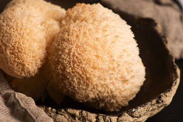 Hericium erinaceus mushroom monkey head mushroom, bearded tooth fungus, bearded hedgehog mushroom, pom pom, lion`s mane mushroom. Far Eastern medicine use this mushroom © joanna wnuk
