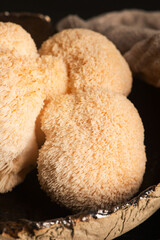 Hericium erinaceus mushroom monkey head mushroom, bearded tooth fungus, bearded hedgehog mushroom, pom pom, lion`s mane mushroom. Far Eastern medicine use this mushroom