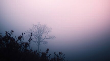 Fototapeta premium Solitary Tree in Misty Fog During Early Morning Light