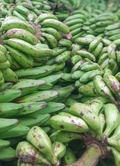 Fresh Green Bananas Ready for Harvest and Distribution
