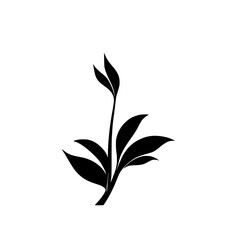 Elegant Black and White Plant Illustration: Minimalist Botanical Design