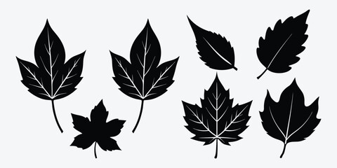 set of leaves silhouettes.