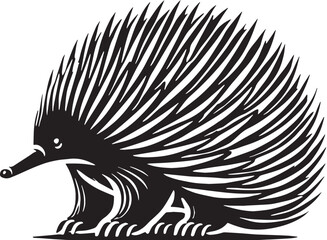 Black Color Echidna Silhouette Vector Illustration design, Solid White Background
