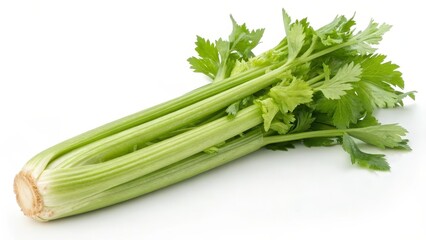 Fresh Celery Stalk