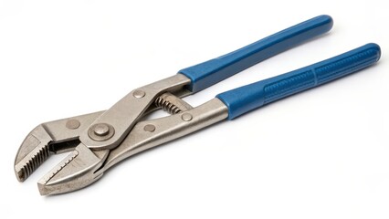Obraz premium Blue-handled Slip Joint Pliers