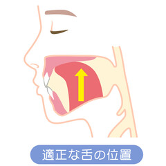 正しい舌の位置　ミューイング © koti