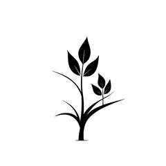 Elegant Minimalist Black and White Plant Illustration: Simple Botanical Design, Nature Graphic, Vector Art