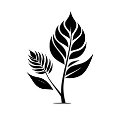 Elegant Black and White Plant Leaves: Minimalist Botanical Vector Illustration